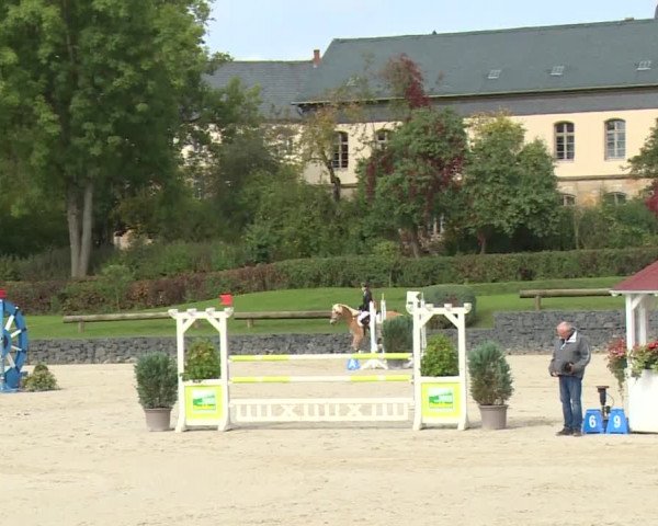Reitturnier Frankenhof-Sonnefeld/Ofr. 2019