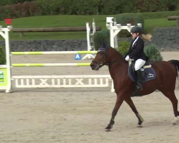 Reitturnier Frankenhof-Sonnefeld/Ofr. 2019