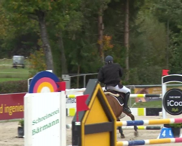 Reitturnier Frankenhof-Sonnefeld/Ofr. 2019