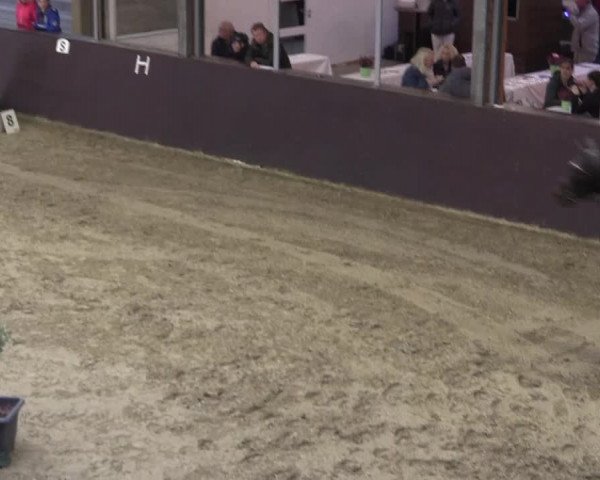 Reitturnier Legden 2019