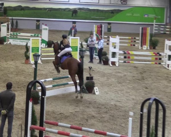 Reitturnier Legden 2019