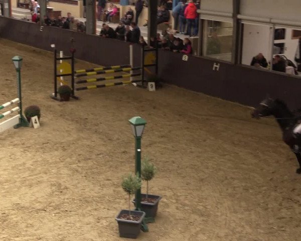 Reitturnier Legden 2019