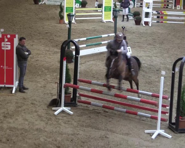 Reitturnier Legden 2019