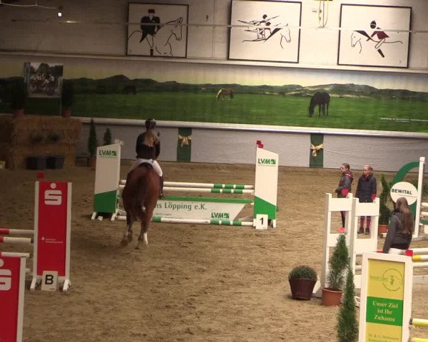 Reitturnier Legden 2019