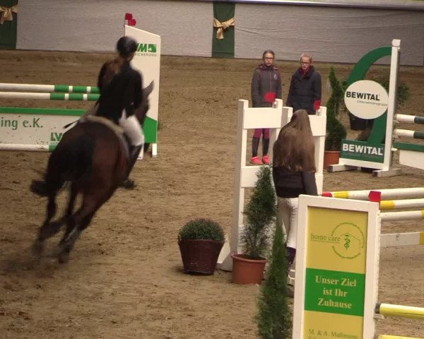 Reitturnier Legden 2019