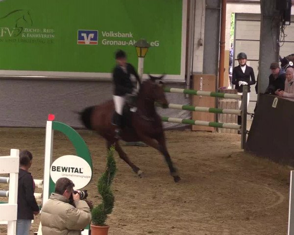 Reitturnier Legden 2019