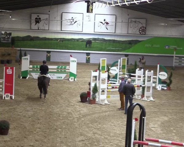 Reitturnier Legden 2019