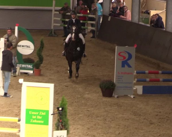 Reitturnier Legden 2019