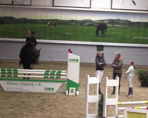 Reitturnier Legden 2019