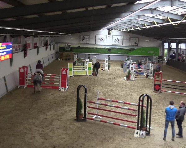 Reitturnier Legden 2019