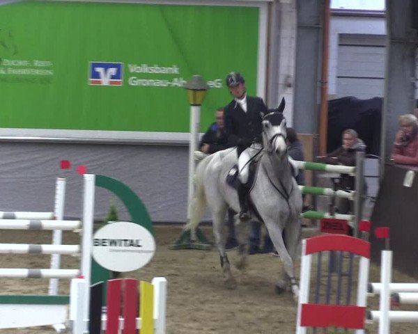 Reitturnier Legden 2019
