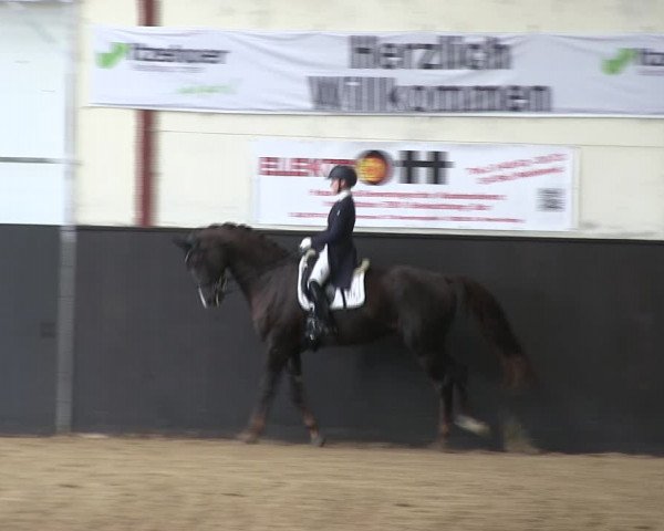 Reitturnier St. Peter Ording 2019