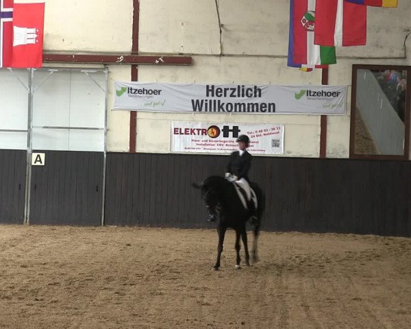 Reitturnier St. Peter Ording 2019
