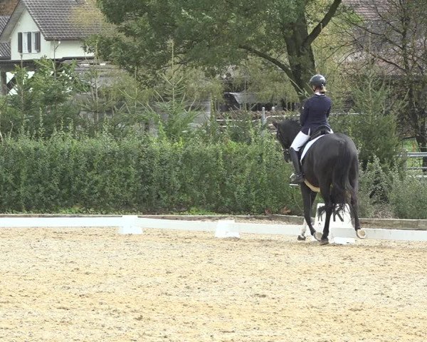 Reitturnier Deitingen 2019