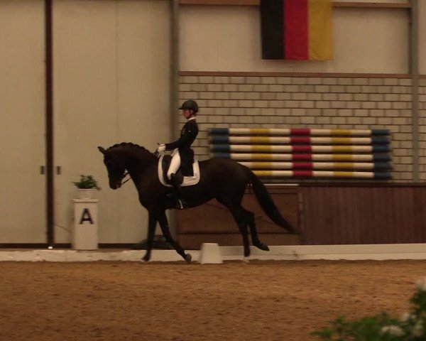Reitturnier Kirchhellen-RSV Zur Linde 2019