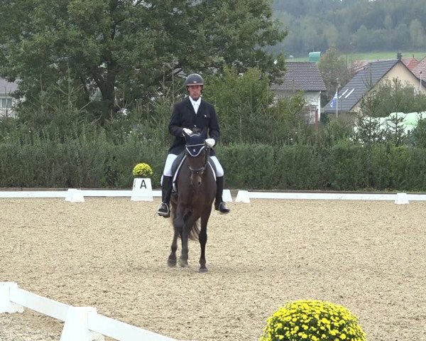 Reitturnier Deitingen 2019