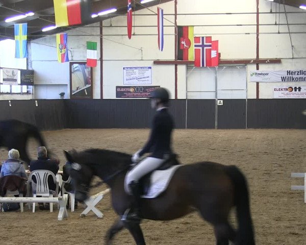 Reitturnier St. Peter Ording 2019
