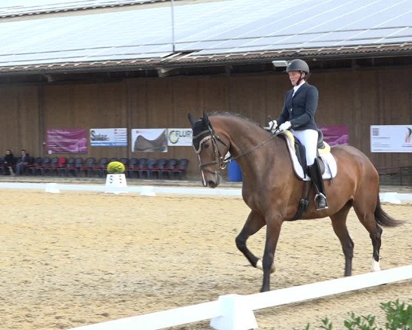 Reitturnier Deitingen 2019