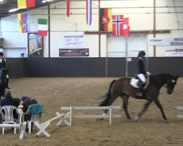 Reitturnier St. Peter Ording 2019
