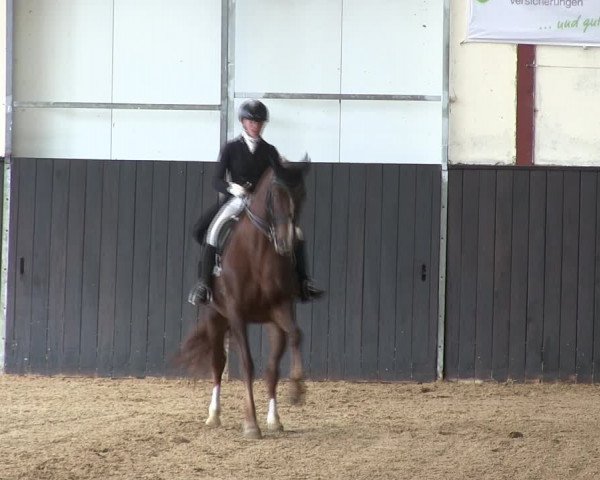Reitturnier St. Peter Ording 2019