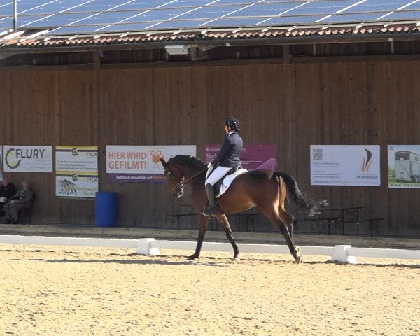 Reitturnier Deitingen 2019