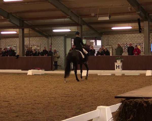 Reitturnier Kirchhellen-RSV Zur Linde 2019