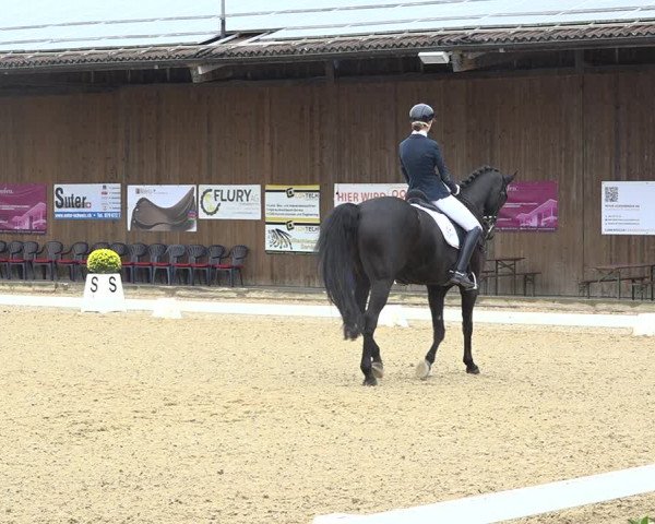 Reitturnier Deitingen 2019