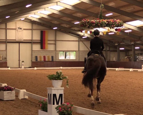 Reitturnier Kirchhellen-RSV Zur Linde 2019