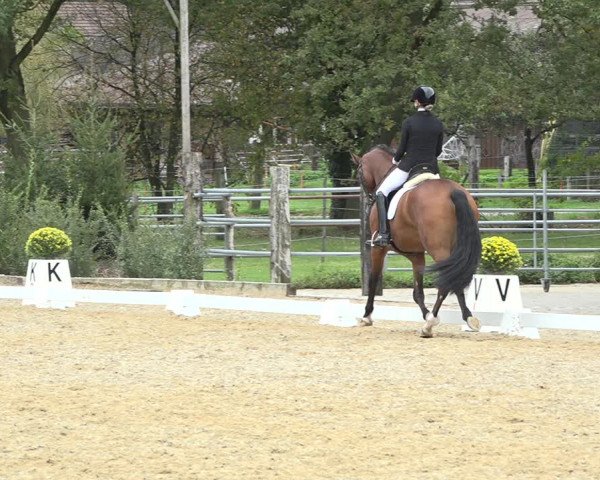 Reitturnier Deitingen 2019