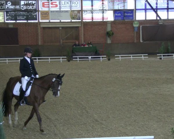 Reitturnier Hüllhorst 2019