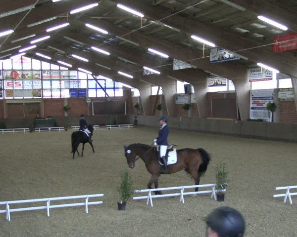 Reitturnier Hüllhorst 2019