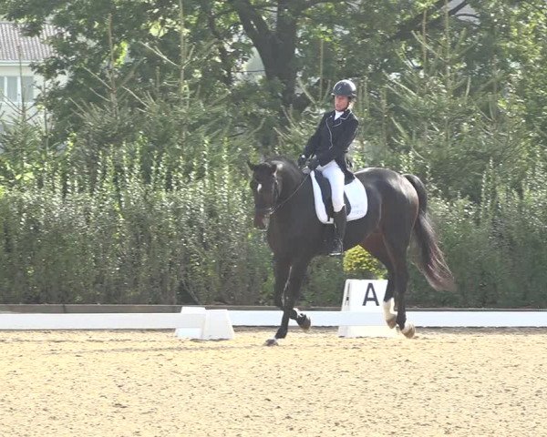 Reitturnier Deitingen 2019