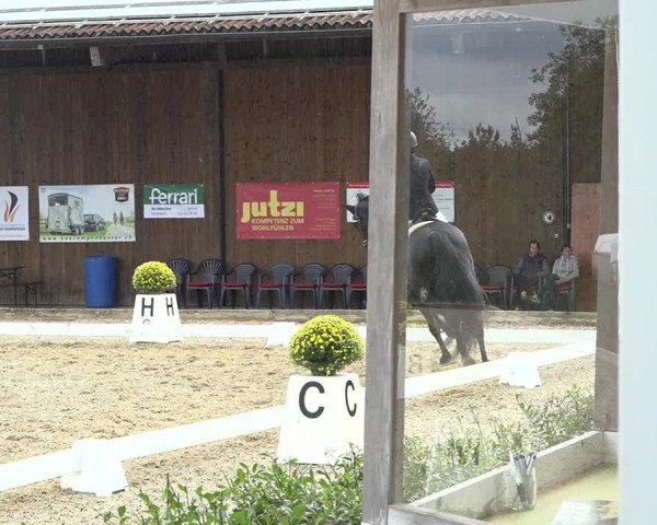 Reitturnier Deitingen 2019
