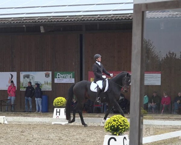 Reitturnier Deitingen 2019