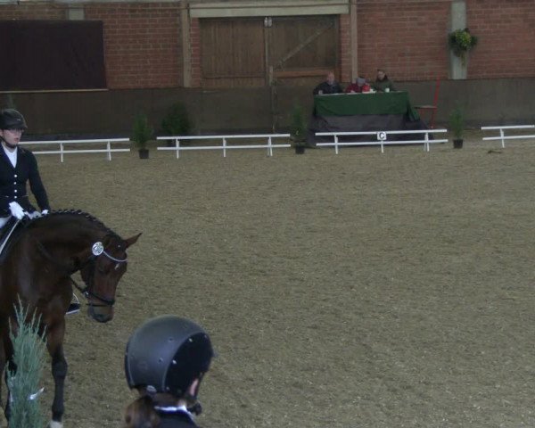 Reitturnier Hüllhorst 2019