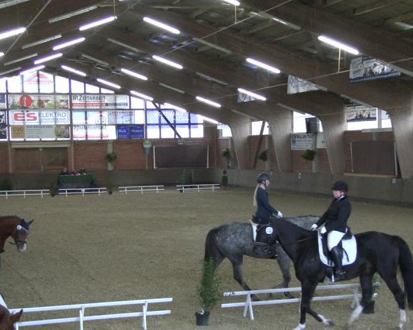 Reitturnier Hüllhorst 2019