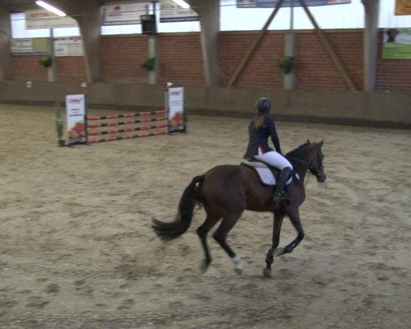 Reitturnier Hüllhorst 2019