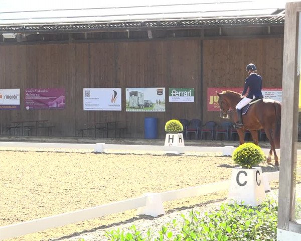 Reitturnier Deitingen 2019