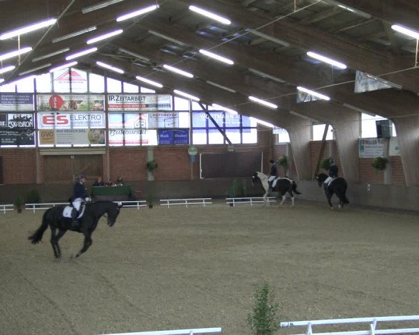 Reitturnier Hüllhorst 2019
