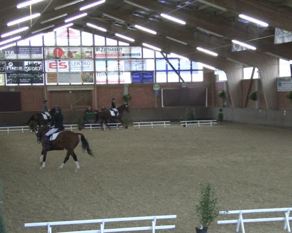 Reitturnier Hüllhorst 2019