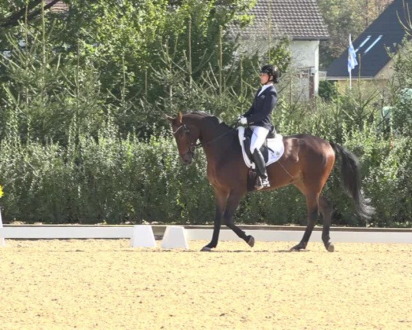 Reitturnier Deitingen 2019