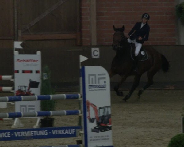 Reitturnier Hüllhorst 2019