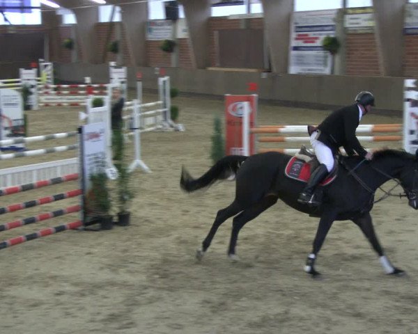 Reitturnier Hüllhorst 2019