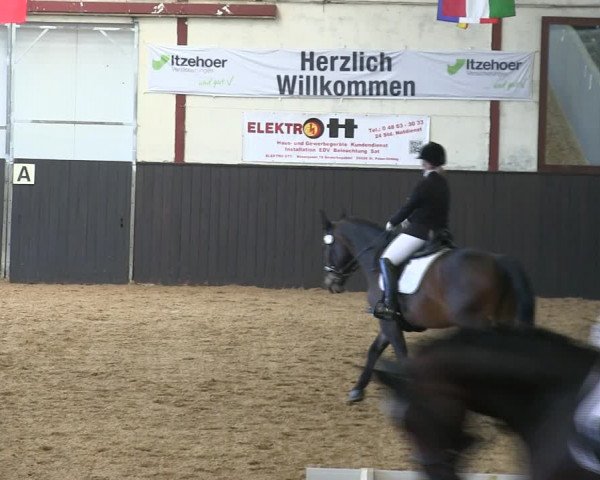 Reitturnier St. Peter Ording 2019