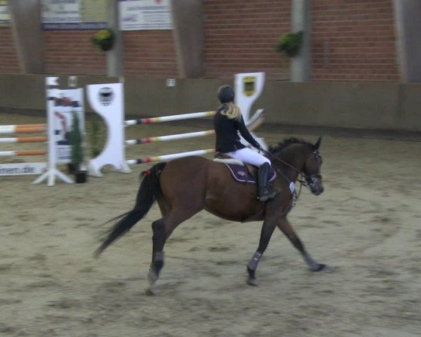 Reitturnier Hüllhorst 2019