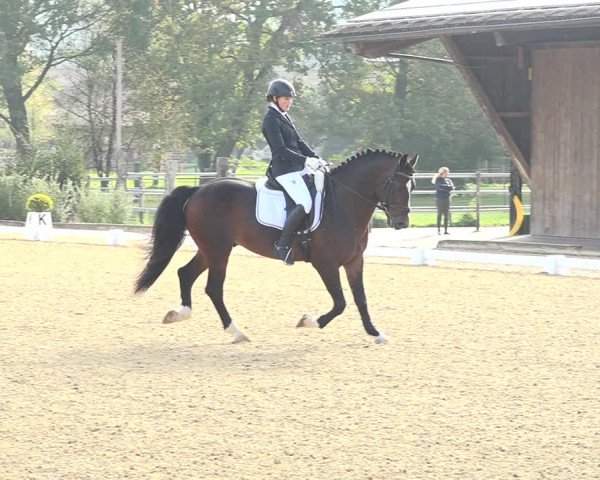 Reitturnier Deitingen 2019