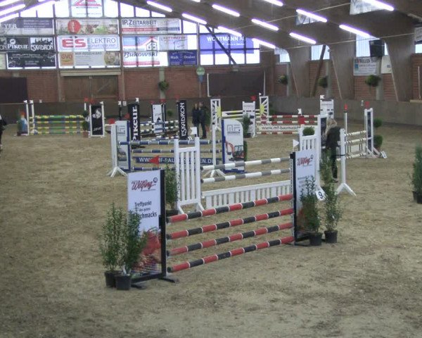 Reitturnier Hüllhorst 2019