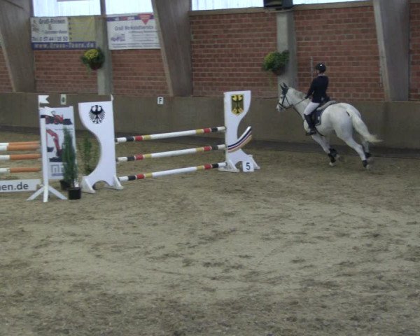 Reitturnier Hüllhorst 2019