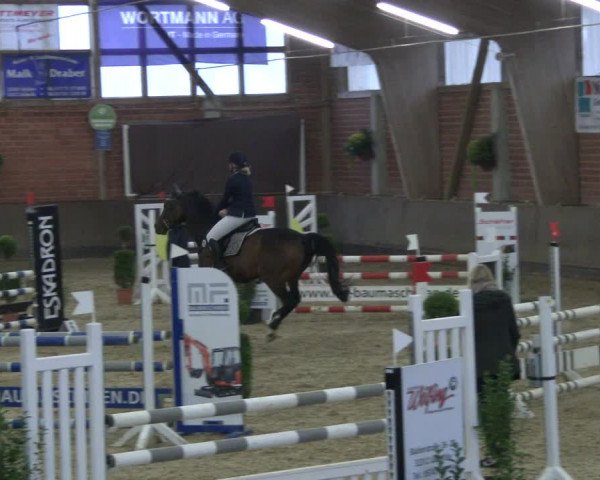 Reitturnier Hüllhorst 2019