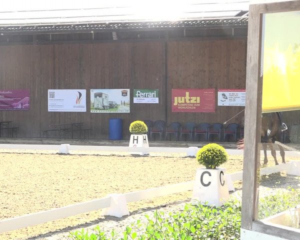 Reitturnier Deitingen 2019